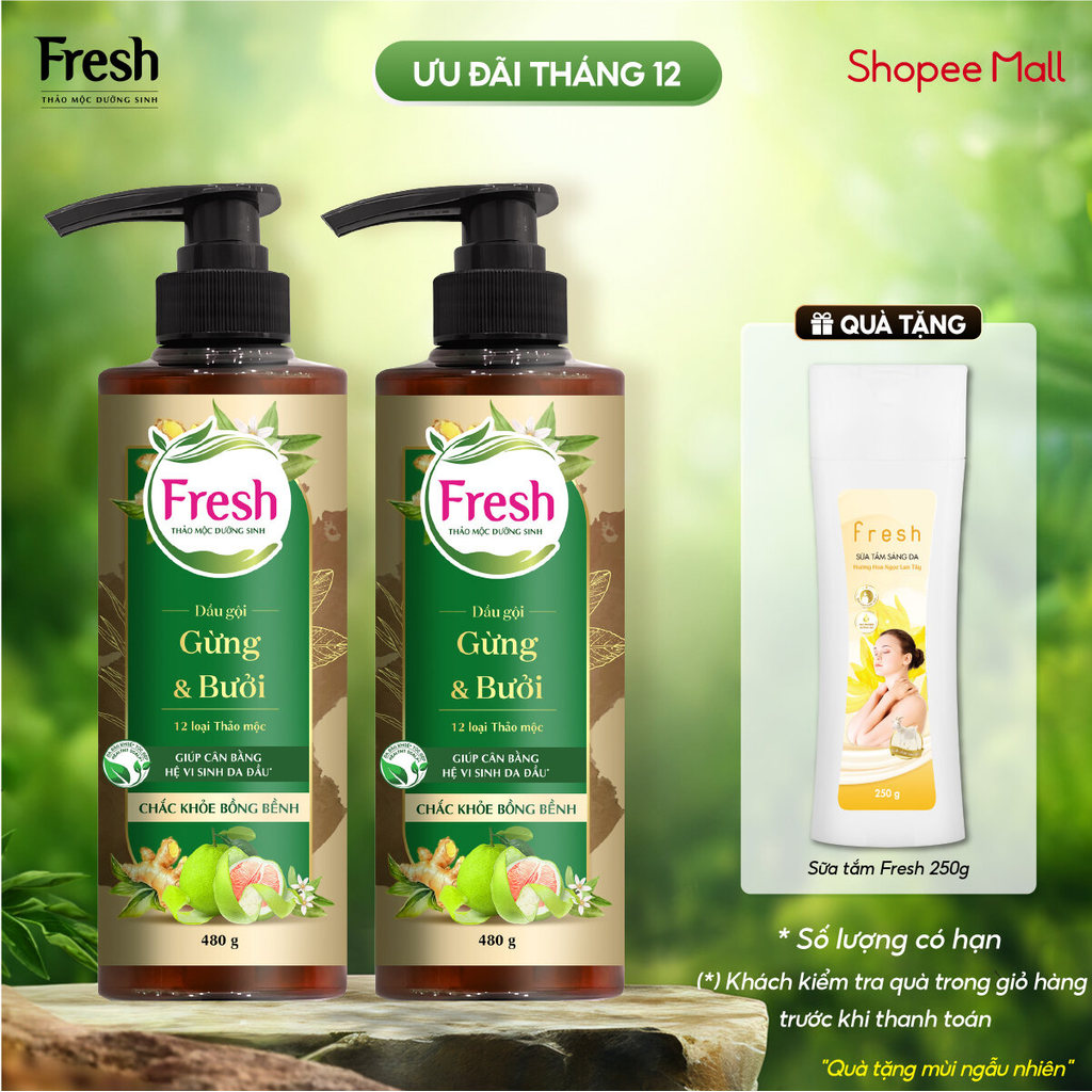 Phiên bản mới - Combo 2 Dầu gội Fresh Thảo Mộc Dưỡng Sinh - Chắc khỏe bồng bềnh 480g/chai