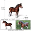 Ngựa thu nhỏ SMILE, Mô hình động vật Hanover Appaloosa, Bộ sưu tập mô hình ngựa PVC ngựa Ả Rập