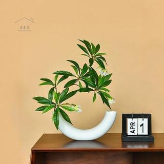 RO > 1 Chiếc Quyến Rũ Trăng Lưỡi Liềm Bình Sáng Tạo Thiết Kế Đồ Trang Trí Đơn Giản Nhựa Trắng Thân Thiện Với Môi Trường Bình Trang Trí Nhà Cửa Mới