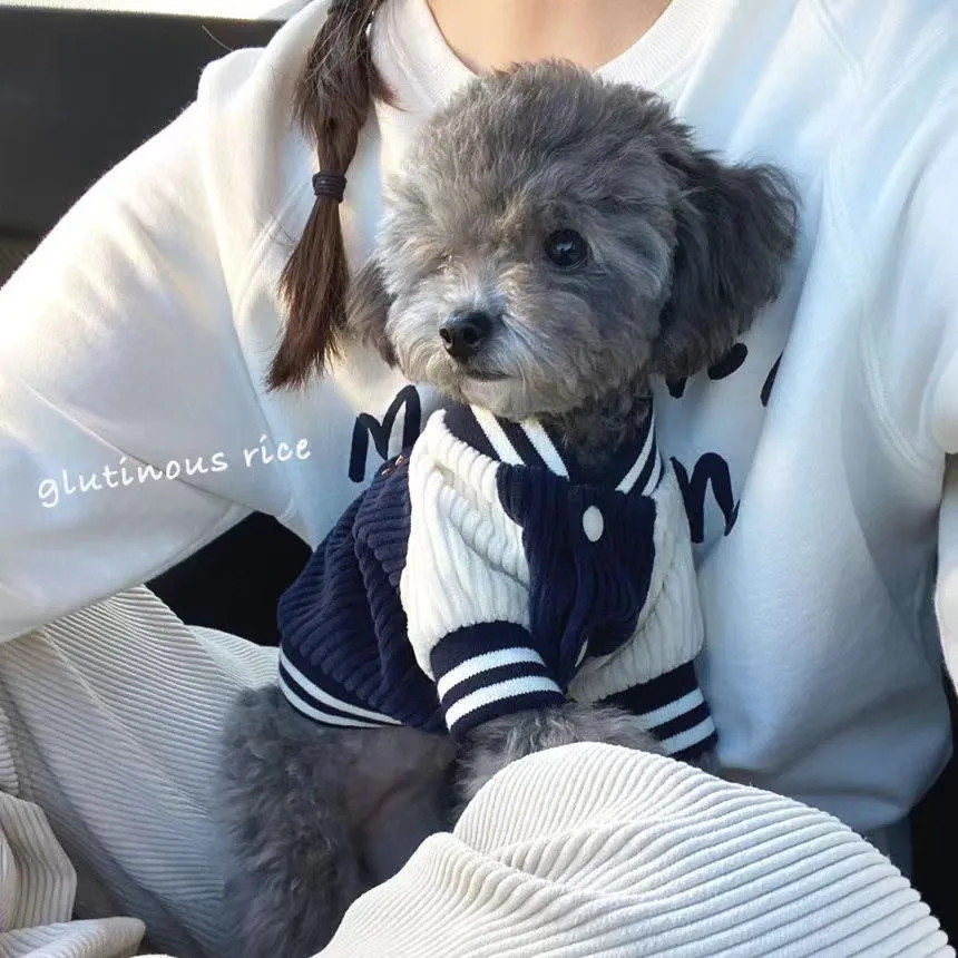 Teddy Chó Nhỏ Thú Cưng Áo Khoác Ấm Áp ins Phong Cách Bóng Chày Đồng Phục Mùa Thu Đông Phong Cách