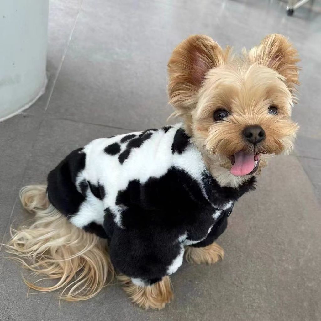 Teddy Bichon Mùa Đông Ấm Áp Quần Áo Thú Cưng Lót Lông Cừu Schnauzer Áo khoác cho chó nhỏ