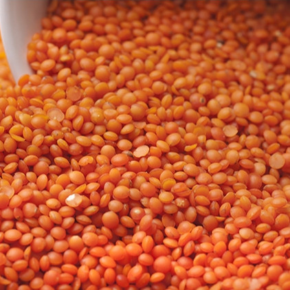 1kg Đậu Lăng Nhập Khẩu Canada Giá Trị Dinh Dưỡng Cao- Bao Hàng Date Mới