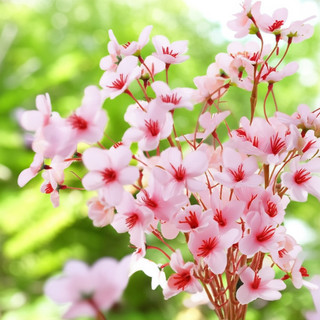 Hoa Anh Đào Giả Sakura Lụa Decor Trang Trí Nhà Cửa Đẹp Cành Cây Nhân Tạo Cao Cấp Phòng Khách Ngủ Tiệc Cưới Phụ Kiện Chụp Ảnh DIY 40cm Vintage Sang Trọng Bình Bó Lọ Sắp Xếp Mùa Xuân Hiện Đại Đám Bắc Âu Đạo Cụ