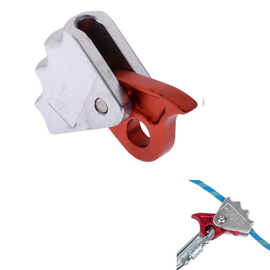 Dây Leo Núi Bảo Hộ Grab Protecta 9-12mm, Dùng Ngoài Trời