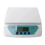 Cân nhà bếp BORAGETE, Màn hình LCD Cân điện tử kỹ thuật số bằng nhựa, Đo chính xác di động Cân điện tử Sử dụng nhà bếp