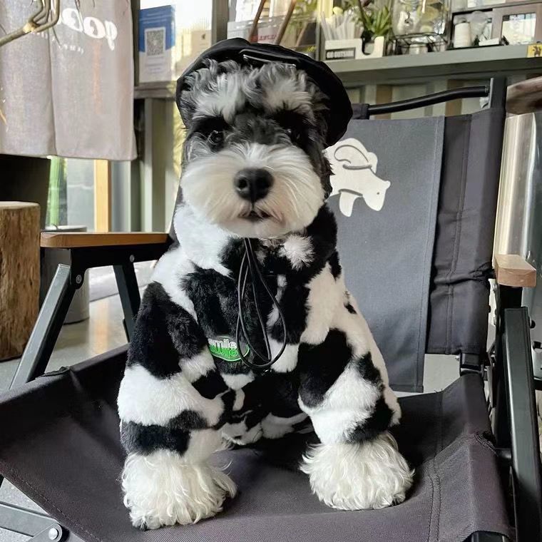 Teddy Bichon Mùa Đông Ấm Áp Quần Áo Thú Cưng Lót Lông Cừu Schnauzer Áo khoác cho chó nhỏ