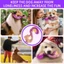 Top Dog Chew Proof Puppies Đồ chơi màu sắc tươi sáng khuyến khích chơi và răng
