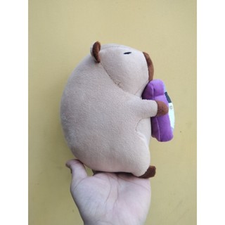 Capy dễ thương - quà cho bé yêu- Kích thước 40cm, 100cm