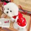 【Ready Stock】 Cat Pets' New Year Clothes New Year Clothes Festive Winter Teddy Bichon Small Dog Fleece-Lined Warm Dog Tang Suit pwMG