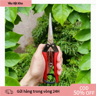 【COD】Combo 1 kéo tỉa cành Nhật Bản đa chức năng bao gồm kéo dài 21cm chuyên dùng cho cắt bonsai và tỉa cành lá nhỏ