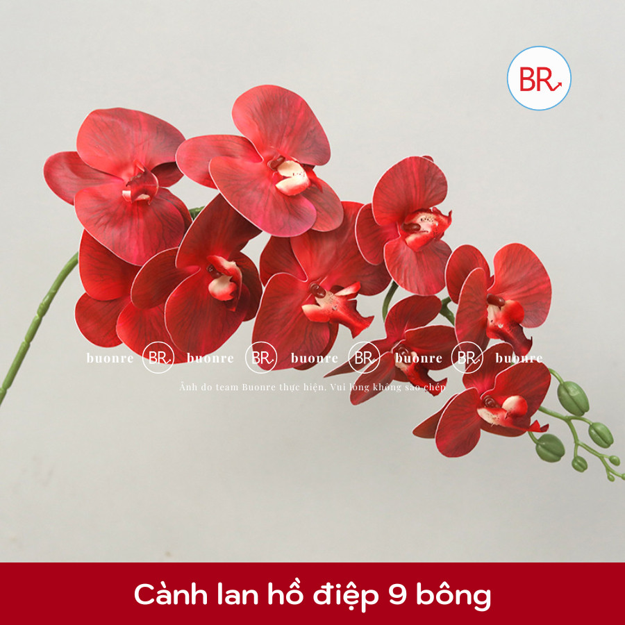 [Tặng băng dính]Set nguyên liệu trang trí Tết Phúc Lộc Vạn Niên,set decor nhà cửa,quán cà phê,lớp học đón Tết 2026 ANGI