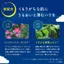 Face Mask LuLuLun One Night Rescue Transparency One Night R 4K 35mL × 5 packets UV Protection, Exfoliation- Direct from Japan