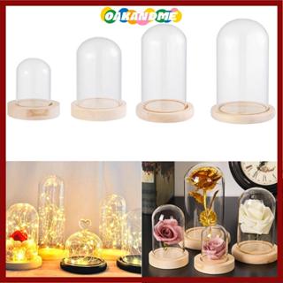 OAKANDME Kính cloche Cây Trang Trí Nhà Terrarium Trong Suốt Bình Thủy Tinh Hoa Hộp Bảo Quản