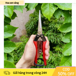 【24H】Kéo tỉa cành lá nhỏ dài 21cm Nhật Bản cao cấp thiết kế cán đỏ tiện dụng cho việc cắt tỉa chính xác và dễ dàng
