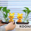 Bình thủy sinh kèm tượng rồng mini