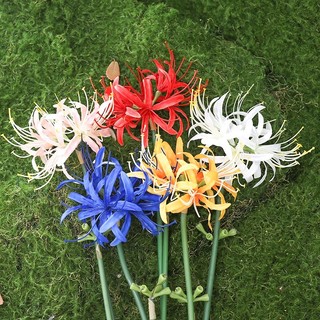 Hoa Bỉ Ngạn Giả Lụa 64cm Lycoris Radiata Decor Trang Trí Nhà Cửa Anime Cosplay Manjusaka Cành Dài Chụp Ảnh Đám Cưới Cao Cấp Đỏ Xanh Trắng Vàng Hồng Bó Thẩm Mỹ Studio Sân Khấu Sự Kiện Phụ Kiện Bình Cắm Giống Thật Phong Cách Nhật Bản Sang Trọng Hiện Đại