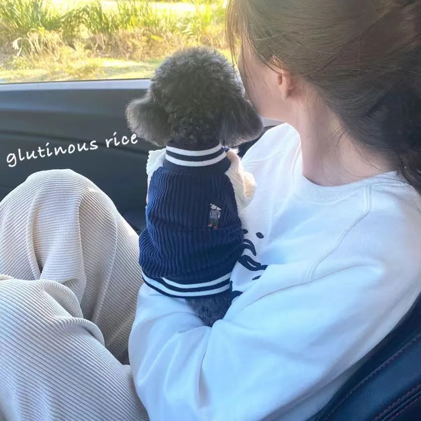 Teddy Chó Nhỏ Thú Cưng Áo Khoác Ấm Áp ins Phong Cách Bóng Chày Đồng Phục Mùa Thu Đông Phong Cách