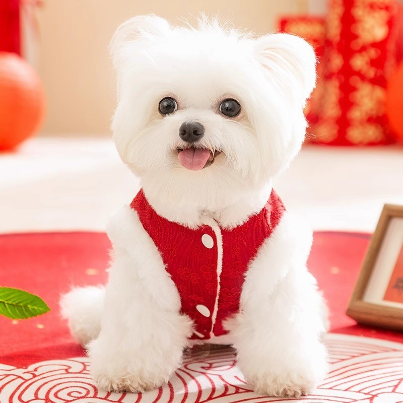 【Ready Stock】 Autumn and Winter Dog New Year Clothes Chinese Small Dog Chinese New Year Clothes Festive Cat Cotton-Padded Waistcoat Pet Tang Suit ZtzR