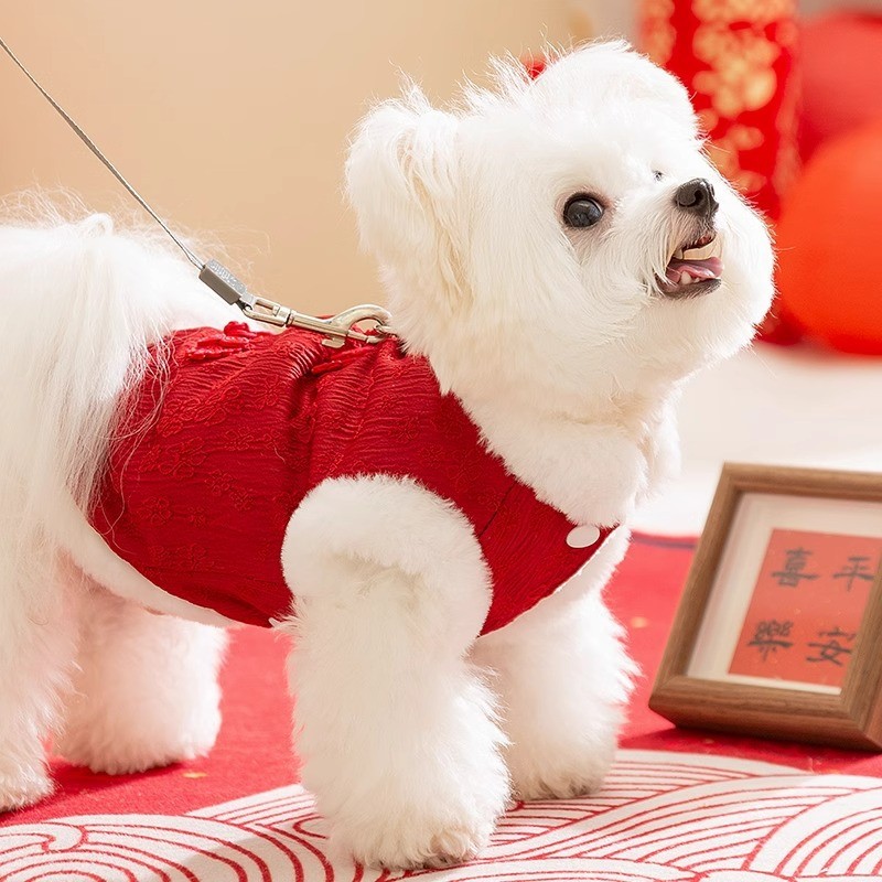 【Ready Stock】 Autumn and Winter Dog New Year Clothes Chinese Small Dog Chinese New Year Clothes Festive Cat Cotton-Padded Waistcoat Pet Tang Suit ZtzR