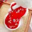 【Ready Stock】 Cat Pets' New Year Clothes New Year Clothes Festive Winter Teddy Bichon Small Dog Fleece-Lined Warm Dog Tang Suit pwMG