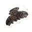 JVSUB Vuốt Tóc, Họa Tiết Ren Thanh Lịch Barrettes, Thời Trang Phong Cách Hàn Quốc Nhẹ 8.5cm Kẹp Tóc Nữ Phụ Kiện Tóc