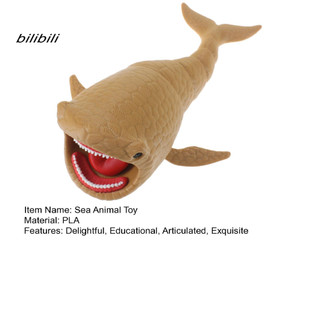 Đồ chơi sưu tập trang trí BIL Đồ chơi sinh vật biển in 3d Đồ chơi Fidget biển có khớp nối in 3d – Sinh vật biển Giảm căng thẳng cho trẻ em Người lớn Quà tặng tiệc sinh nhật Bàn làm việc