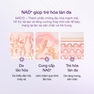 Tinh chất chống lão hoá NUMBUZIN No.9+ Nad+ Bio Lifting-Sil Essence 50ml