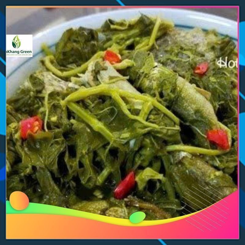 Đặc sản Rau sắn muối chua Phú Thọ(khoảng 1-2kg/túi, lọ) nấu canh siêu ...