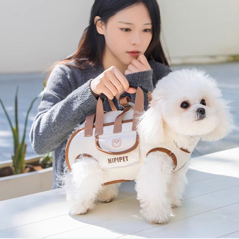 Túi đi chơi thú cưng Túi tiện lợi cho chó nhỏ Túi đeo vai mèo có thể đeo chéo Túi dây đeo hoạt hình di động