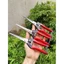 【24H】Kéo tỉa cành lá nhỏ dài 21cm Nhật Bản cao cấp thiết kế cán đỏ tiện dụng cho việc cắt tỉa chính xác và dễ dàng