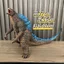 Quái vật Godzilla quá khổ Cao su mềm Mô hình đồ chơi cậu bé Ultraman Hình Búp bê trẻ em Di chuyển được CBDM