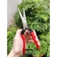 【24H】Kéo tỉa cành lá nhỏ dài 21cm Nhật Bản cao cấp thiết kế cán đỏ tiện dụng cho việc cắt tỉa chính xác và dễ dàng