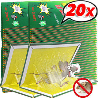 10 / 20 Cái Nâng Cấp Bảng Keo Chuột Lớn - Bẫy Keo Chuột Dính Thực Phẩm - Máy Bắt Kiểm Soát Dịch Hại Không Độc Hại