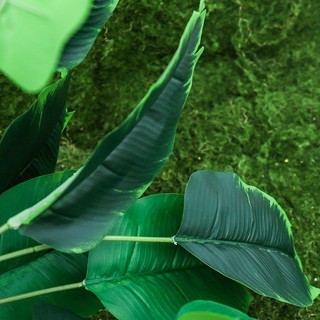 Lá chuối giả trang trí nhà cửa decor phòng khách cây thiên điểu nhân tạo phong cách bắc âu đạo cụ chụp ảnh sản phẩm cao cấp phụ kiện nội thất văn phòng ban công rùa rẻ quạt monstera xanh mát hiện đại nhựa lụa bền đẹp hoa nghệ thuật lớn nhiệt đới