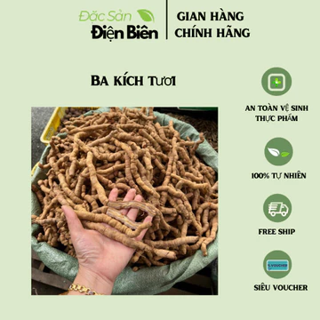 Ba kích tím, ba kích tươi ngâm rượu hàng đẹp đã làm sạch -Bachhoahoa