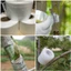 【24h】Cuộn băng keo ghép cành tự dính cao cấp khổ 5cm x 150m đảm bảo độ bám dính tốt và bảo vệ mối ghép hiệu quả