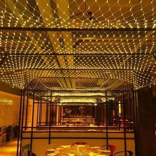 Đèn led lưới mắt cáo 3mx2m trang trí ngoài trời-Trang trí ngoài trời, sắp xếp lễ hội cây Giáng sinh trang trí nhà vườn
