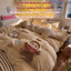 Bộ Chăn Ga Gối Nỉ Laday Cat - Labubu MemMinbedding Luxury Họa Tiết Thêu Công Nghệ Cao - Giữ Ấm Tuyệt Đối