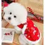 【Ready Stock】 Cat Pets' New Year Clothes New Year Clothes Festive Winter Teddy Bichon Small Dog Fleece-Lined Warm Dog Tang Suit pwMG