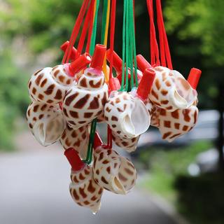 Thổi Vít Còi Siêu Sừng Có Thể Lớn Conch Nhỏ Vỏ Vít Lớn Hàng Thủ Công Còi Biển Còi Đồ Chơi Trẻ Em Sừng