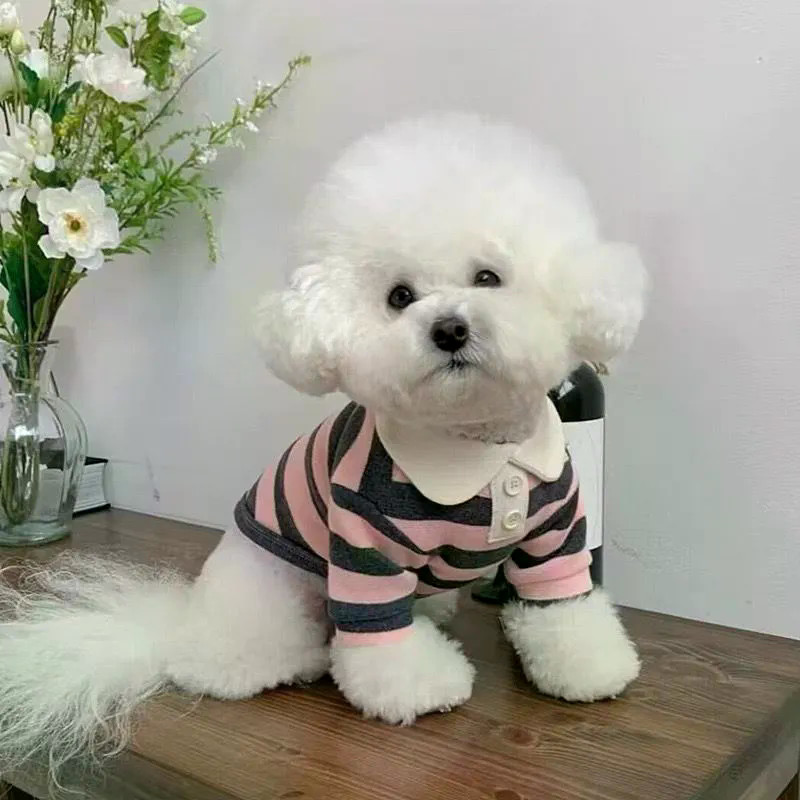 Chó Nhỏ Teddy Áo Len Mùa Đông Mặc Giáng Sinh Bichon Quần Áo Thú Cưng Ấm Áp Phong Cách Dệt Kim