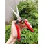 【24H】Kéo tỉa cành lá nhỏ dài 21cm Nhật Bản cao cấp thiết kế cán đỏ tiện dụng cho việc cắt tỉa chính xác và dễ dàng