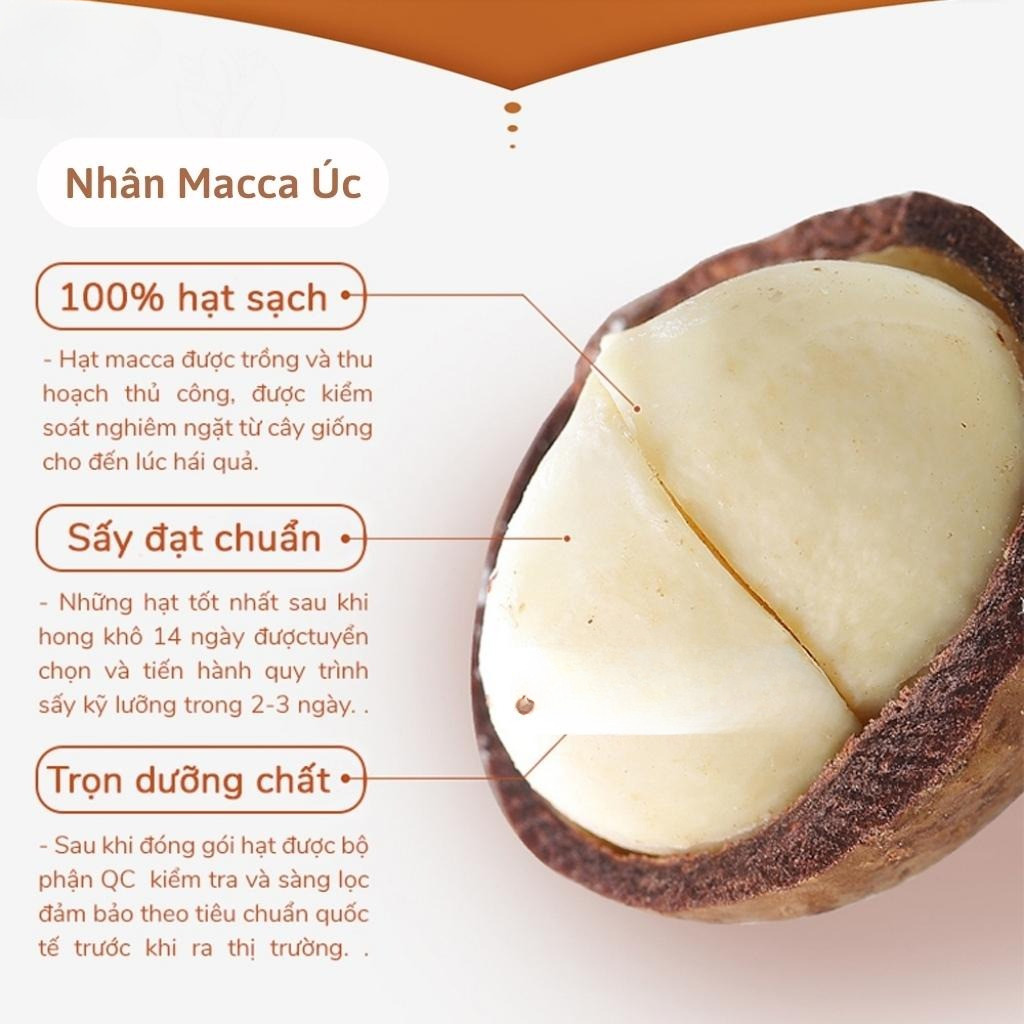 500grm Nhân Mắc Ca Đăk Lak Bể 2 ăn liền nấu sữa nấu cháo - Bao Mới không hôi dầu