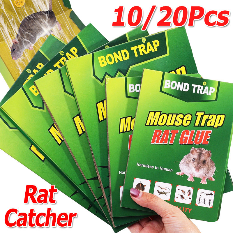 10 / 20 Cái Bảng Keo Chuột Dính Cao Lớn / Bẫy Keo Rắn Chuột / Bảng Kiểm Soát Dịch Hại Không Độc Hại