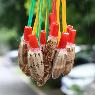 Thổi Vít Còi Siêu Sừng Có Thể Lớn Conch Nhỏ Vỏ Vít Lớn Hàng Thủ Công Còi Biển Còi Đồ Chơi Trẻ Em Sừng