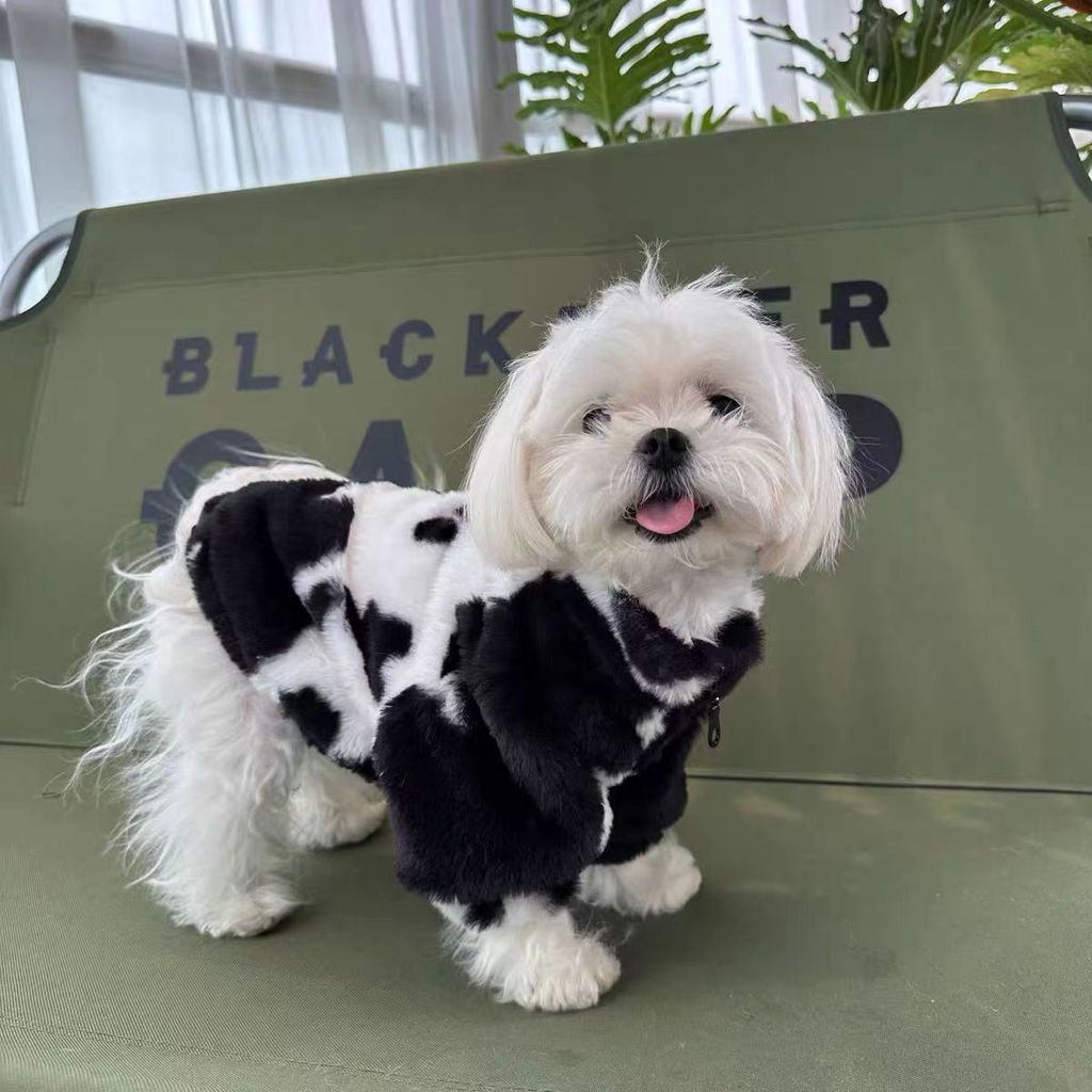 Teddy Bichon Mùa Đông Ấm Áp Quần Áo Thú Cưng Lót Lông Cừu Schnauzer Áo khoác cho chó nhỏ
