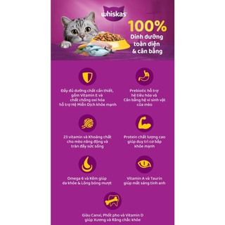 Thức Ăn Hạt Whiskas Cho Mèo [ 1,1kg - 1,2kg ] Mèo con và Mèo trưởng thành