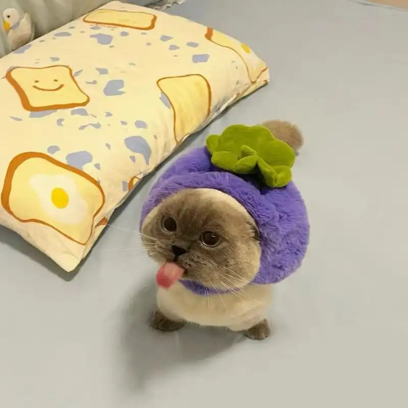 Sản phẩm mới Mũ đội đầu cho thú cưng Hình cá mập Mũ lông tơ Thu đông Đồ trang trí dễ thương