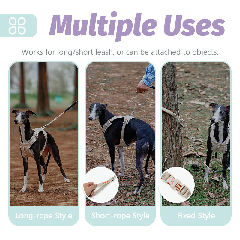 HamshMoc Pet Lead Thiết kế phản quang Bungee Webbing Khóa an toàn để sử dụng hàng ngày