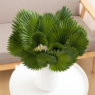 Lá Cọ Giả Trang Trí 45cm 3 Cành Quạt Nhựa Decor Nhà Cửa Đẹp Phong Cách Bắc Âu Hiện Đại Phụ Kiện Chụp Ảnh Cây Để Bàn Phòng Khách Văn Phòng Cao Cấp Bền Màu Tự Nhiên Xanh Mát Đạo Cụ Studio Nội Thất Sang Trọng Combo